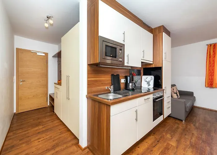 Apartment Summercard And Free Parking Included Zell am See